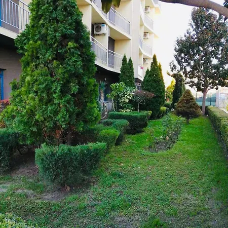 Jasmine A17 Cozy Sunny Daire *